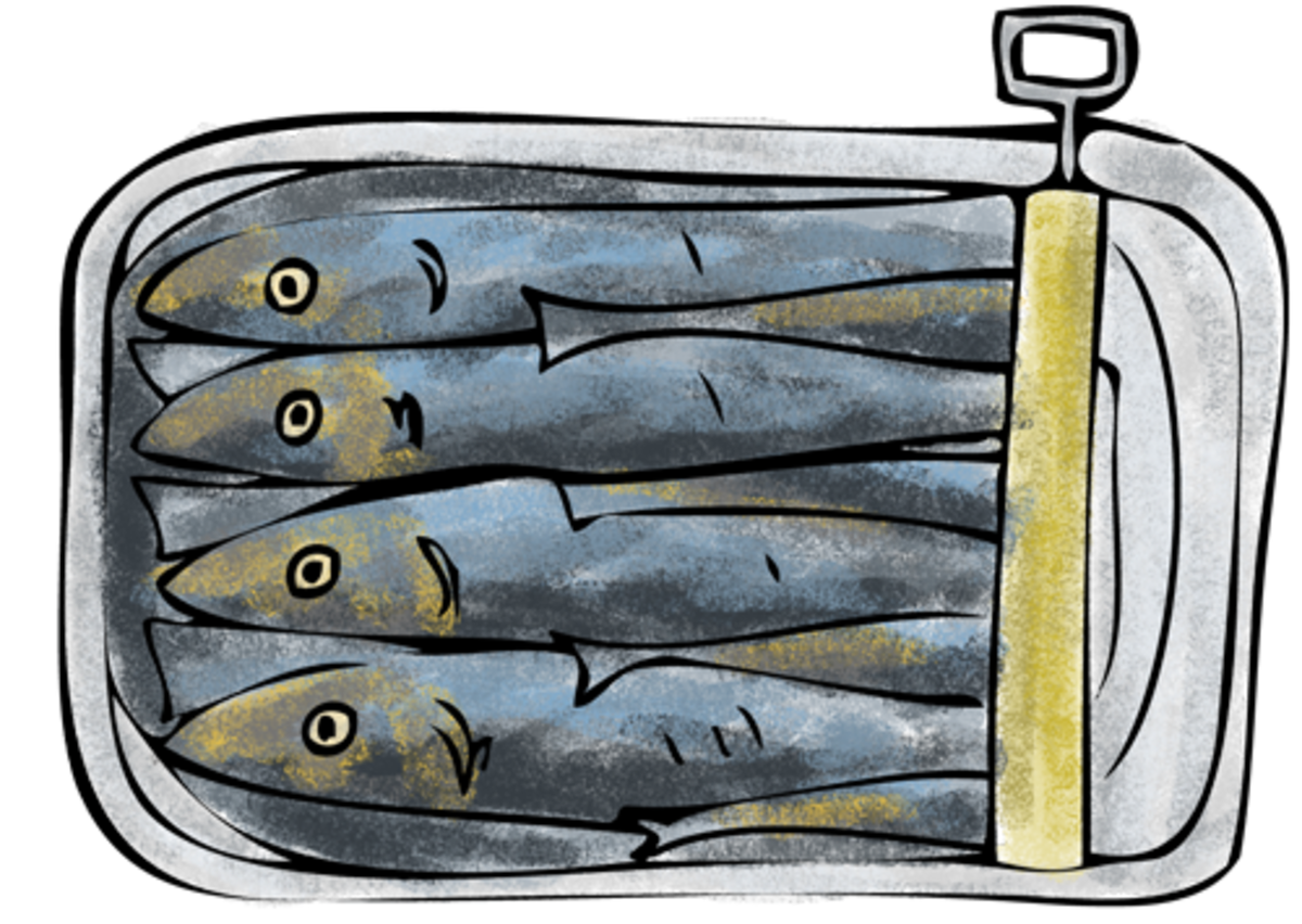 Sardines aka Backwards Hideandseek StreetSmart Play